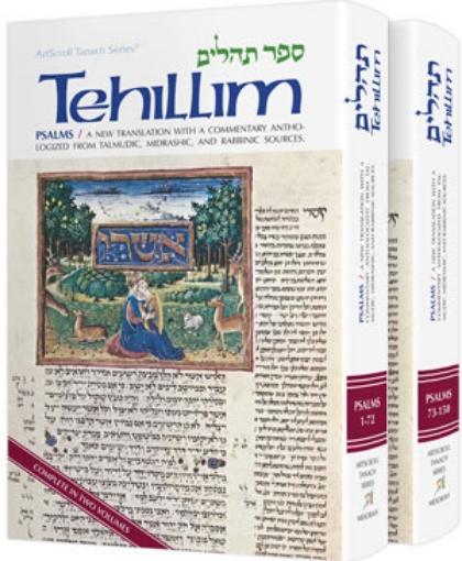 Picture of Tehillim / Psalms - 2 Vol Shrink Wrapped SET